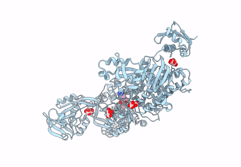 8C8V image