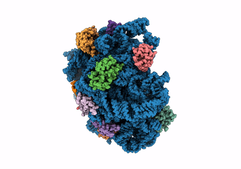 8C91 image