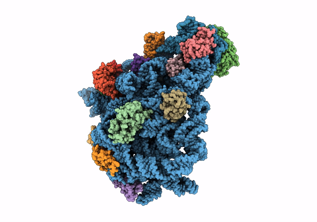 8C95 image