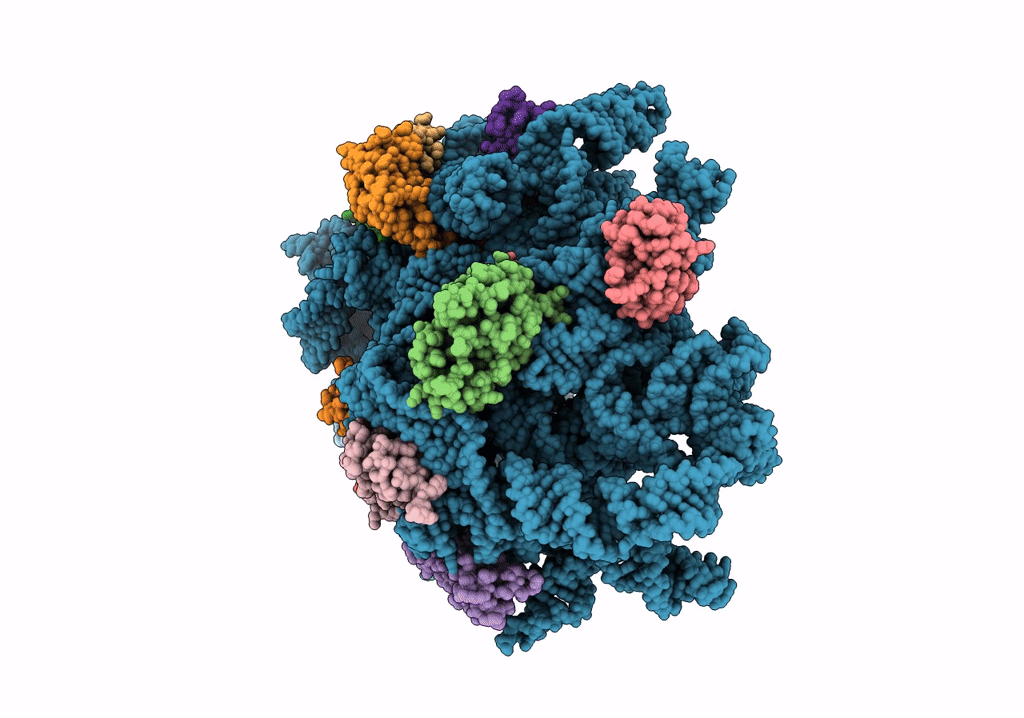 8C96 image