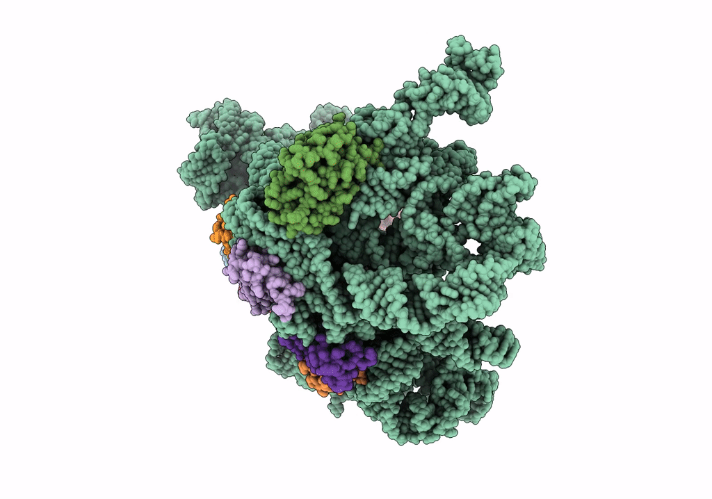 8C97 image