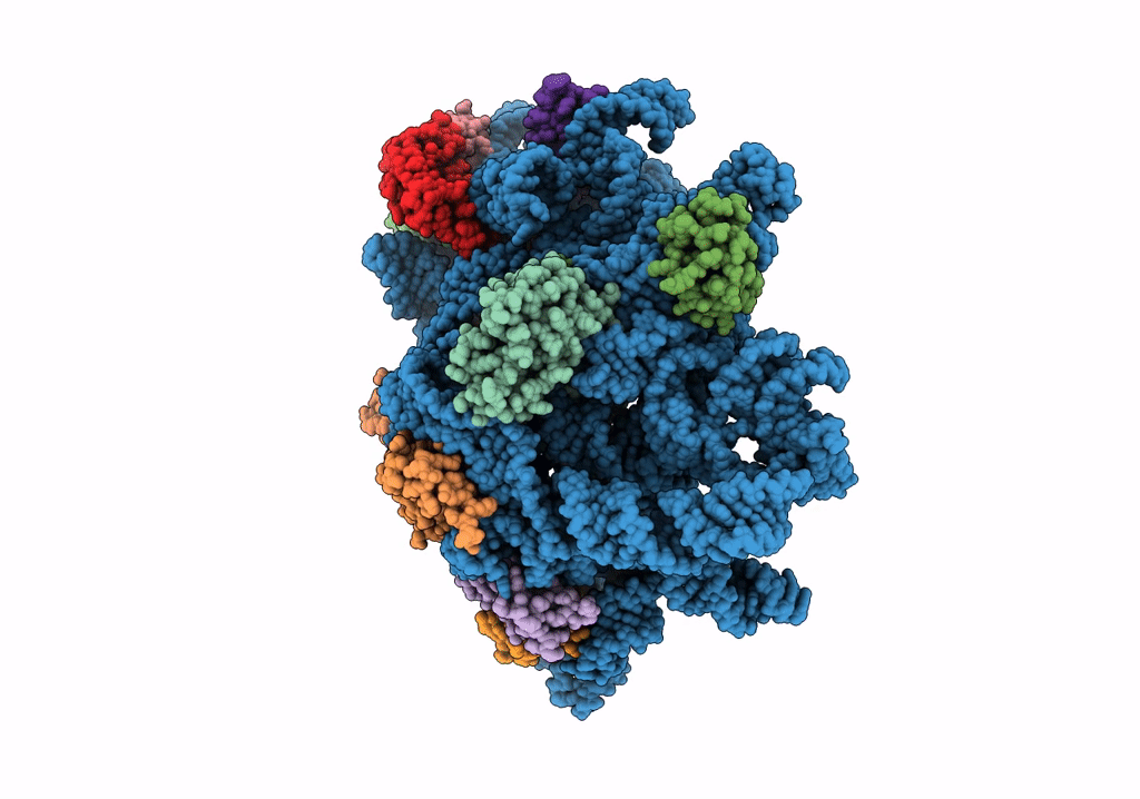 8C98 image