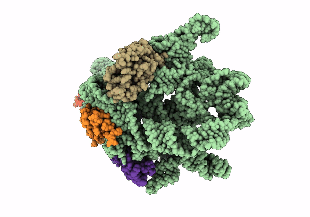 8C9B image