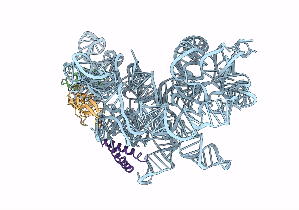 8C9C image