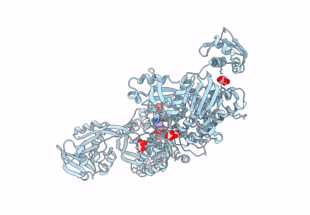 8C9D image