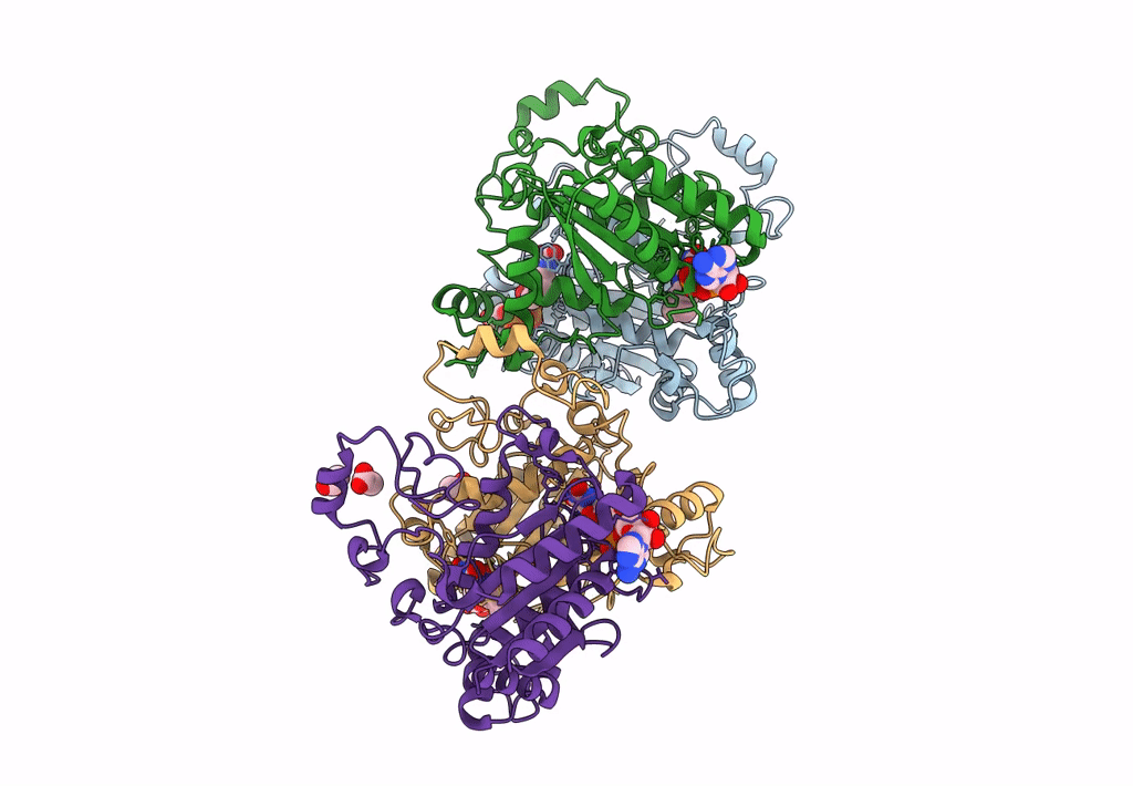 8C9J image