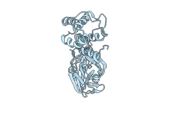 8C9L image