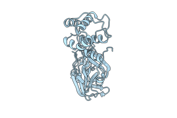 8C9P image