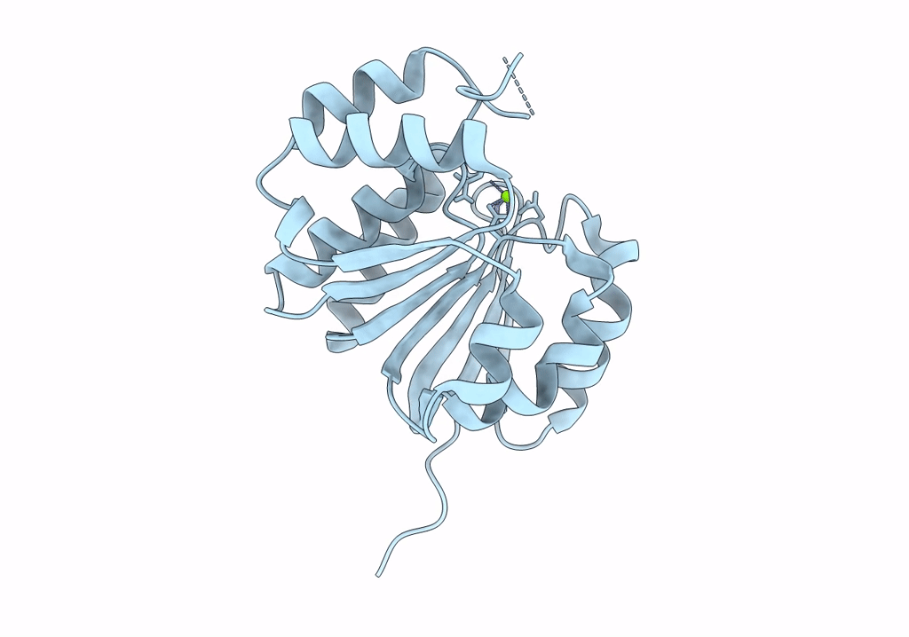 8C9V image