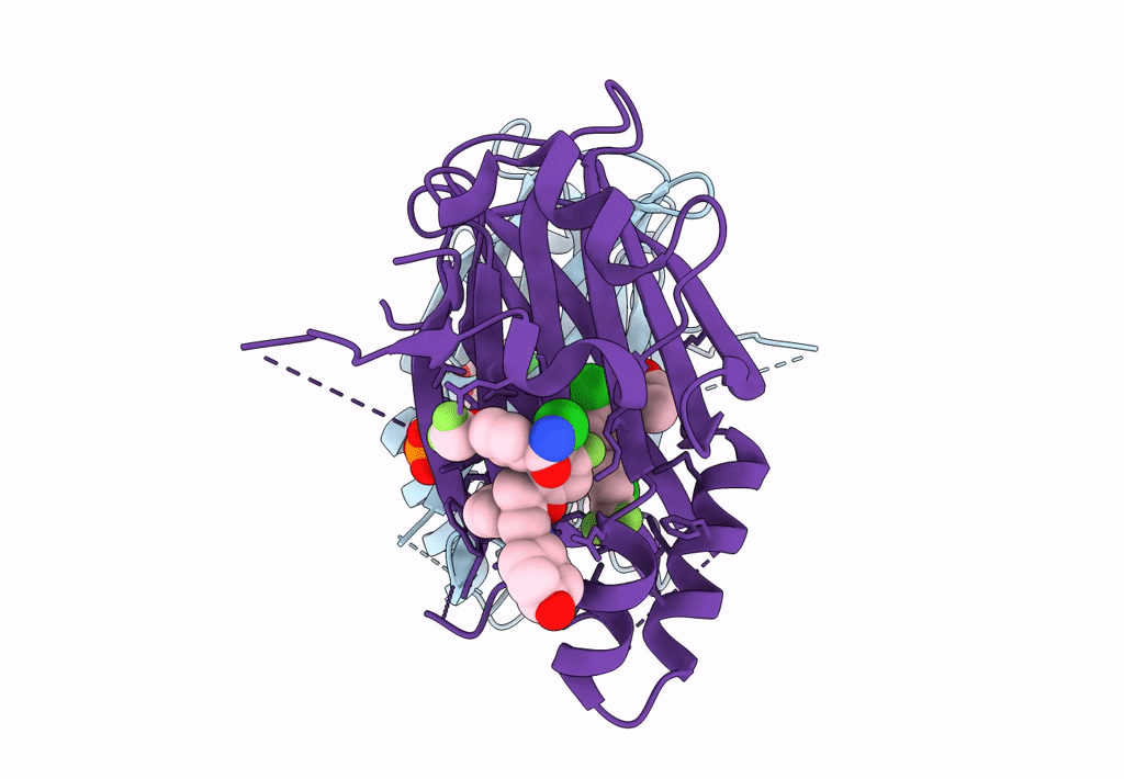 8CAA image