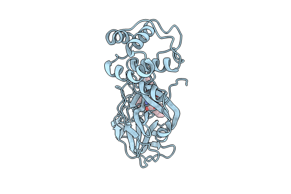 8CAJ image