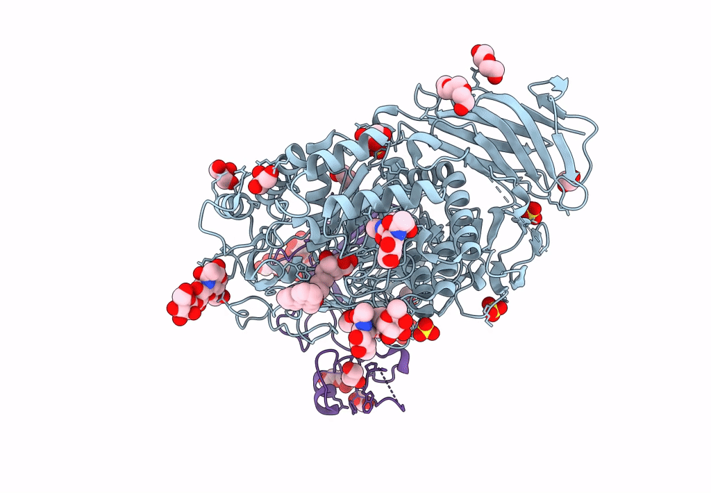 8CB1 image