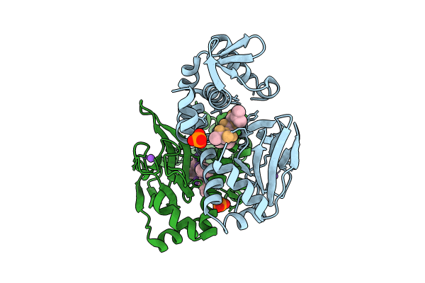 8CB8 image