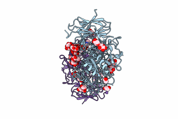 8CBC image