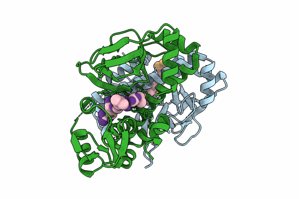 8CBG image