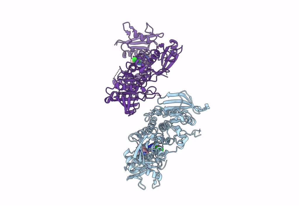 8CBH image