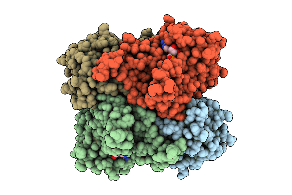 8CBO image