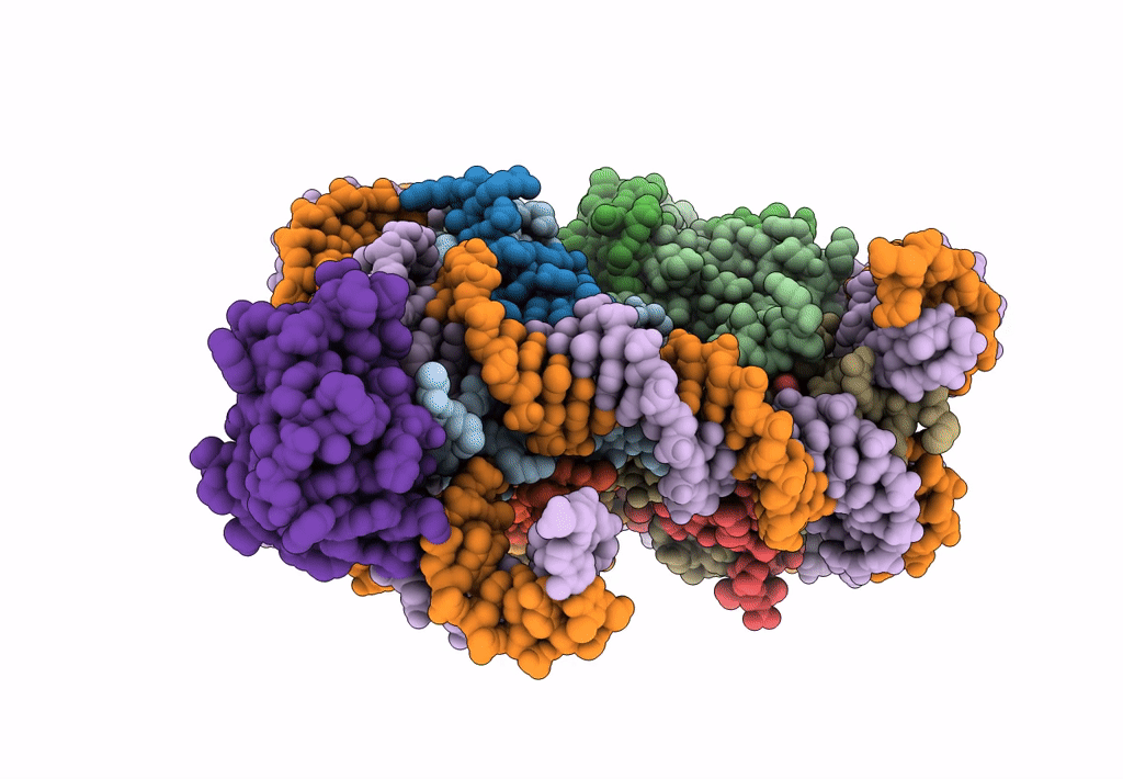 8CBQ image