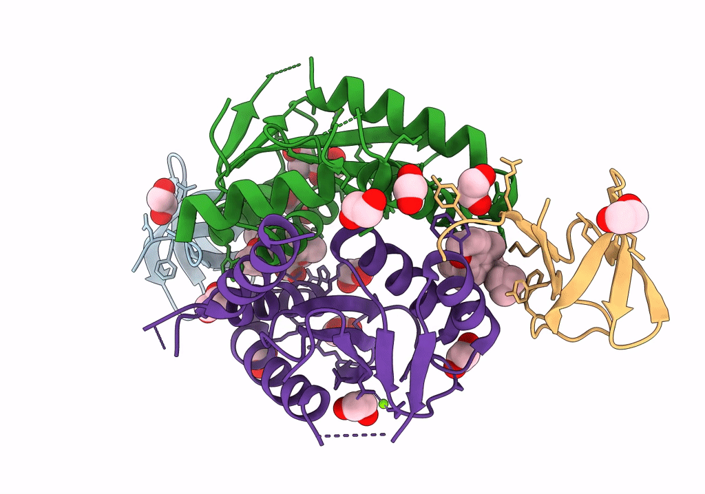 8CBS image