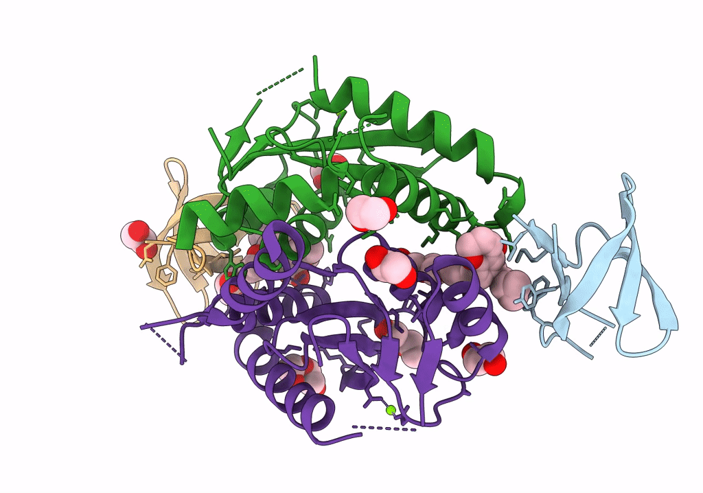 8CBT image