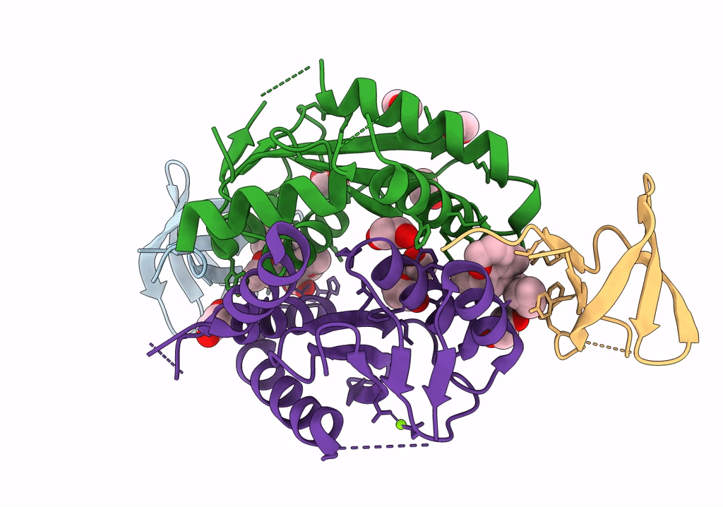 8CBU image