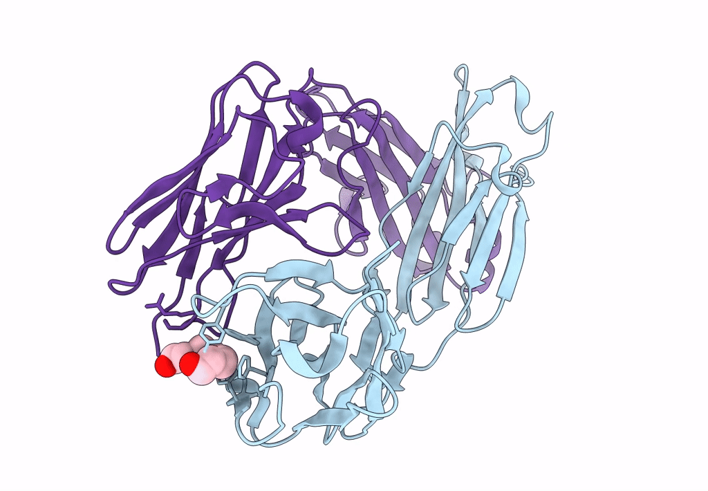 8CBX image