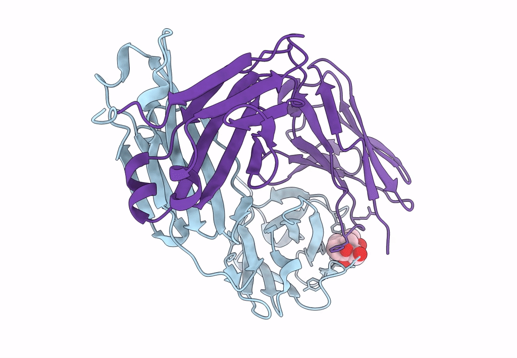 8CC0 image