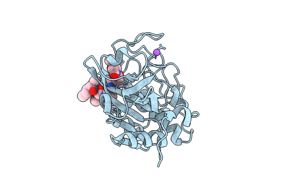 8CC2 image