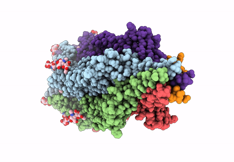 8CC6 image