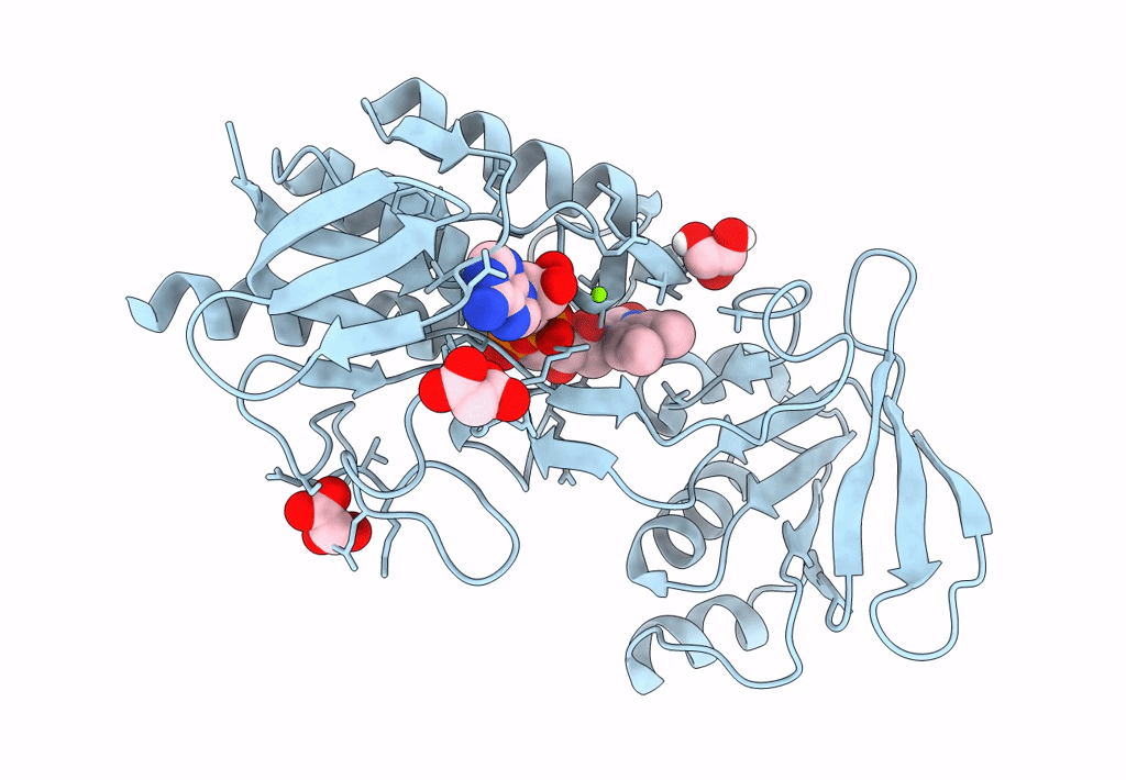 8CCI image