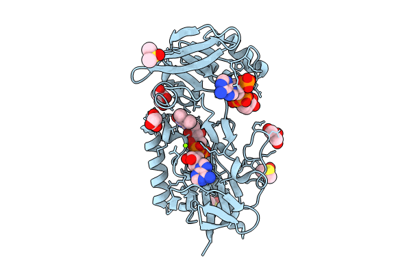 8CCJ image