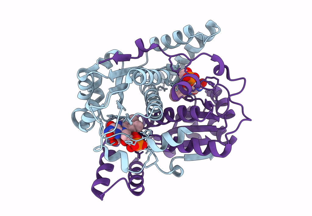 8CCV image