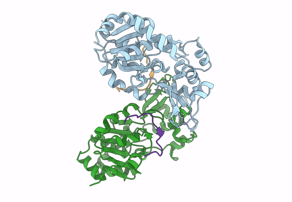 8CCZ image