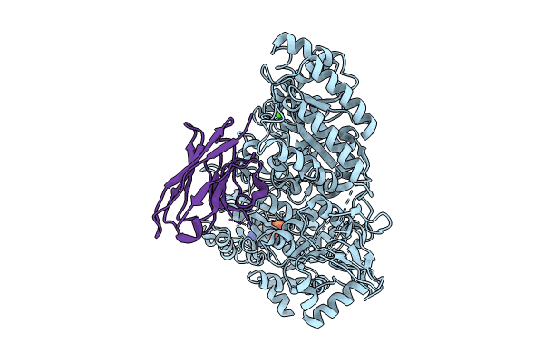 8CD0 image