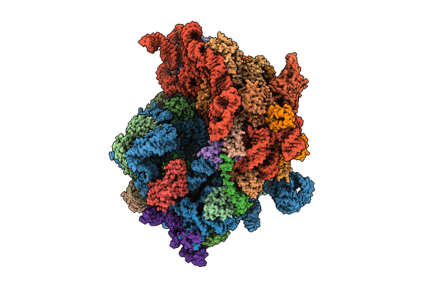 8CD1 image