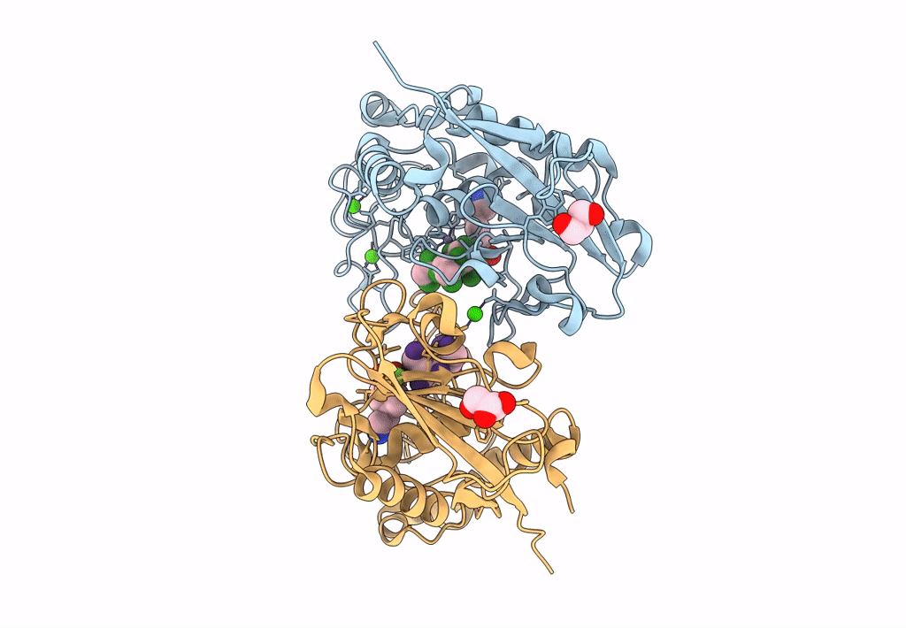 8CD8 image
