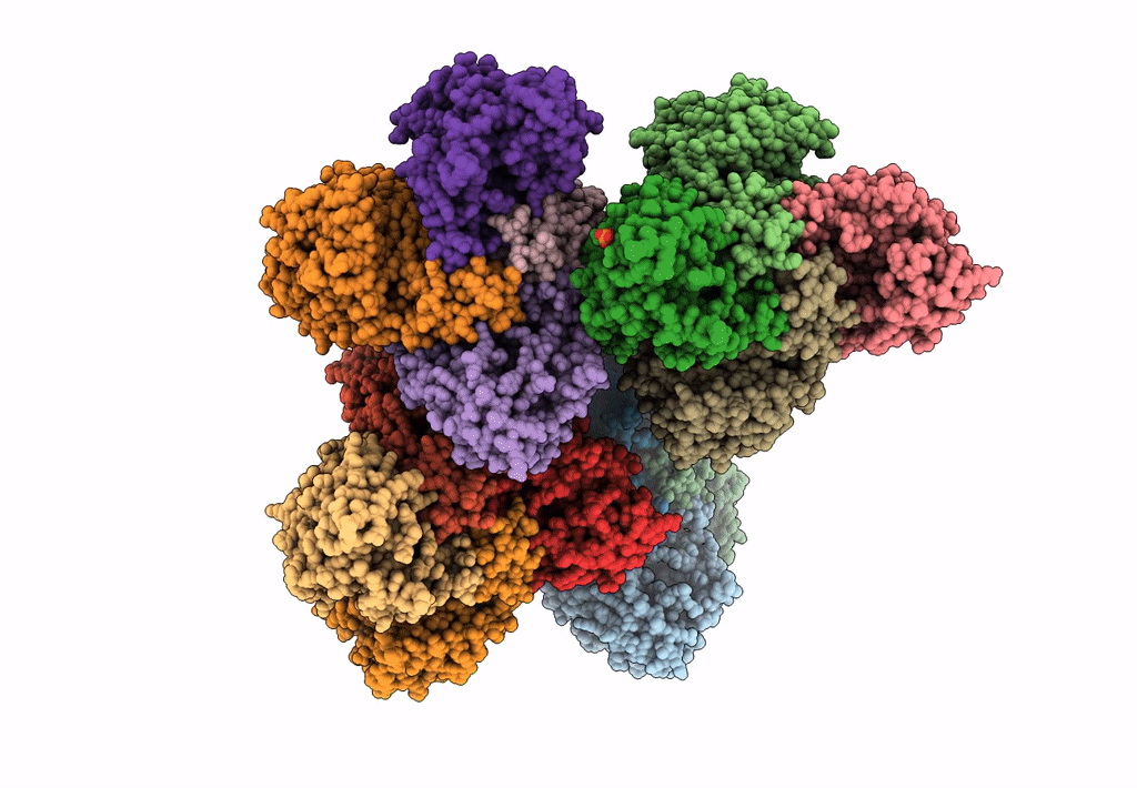 8CDA image