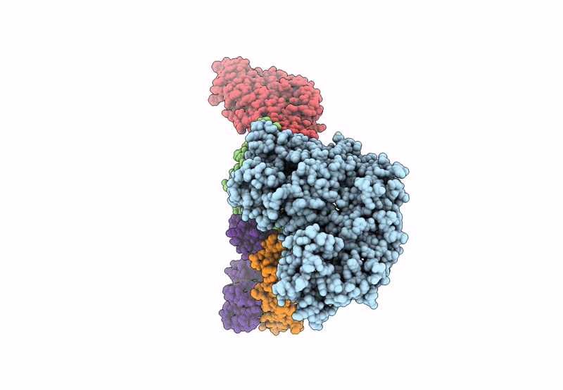 8CDD image