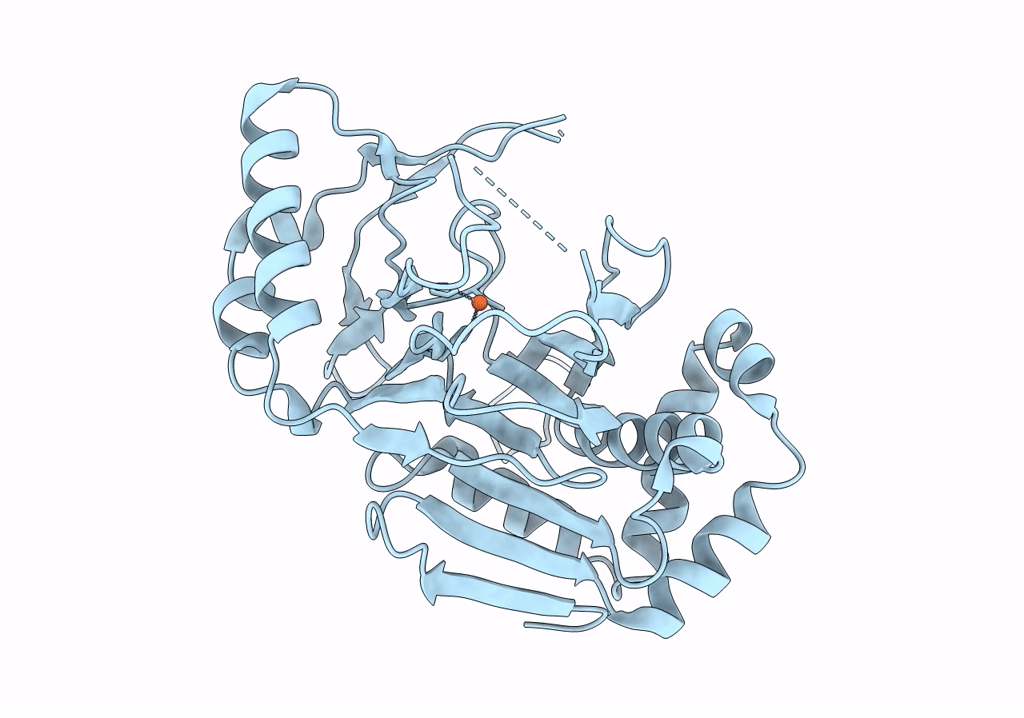 8CDF image