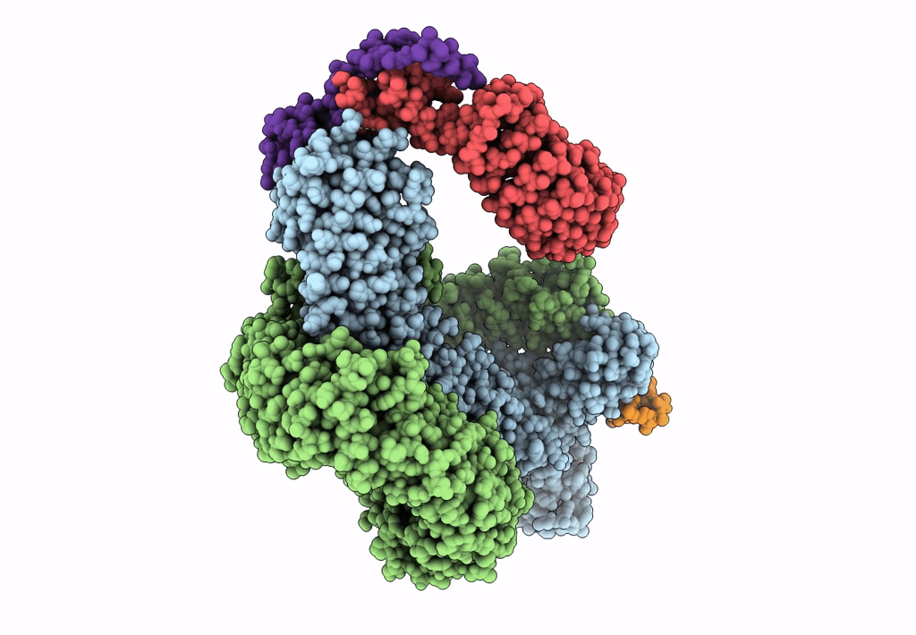 8CDK image