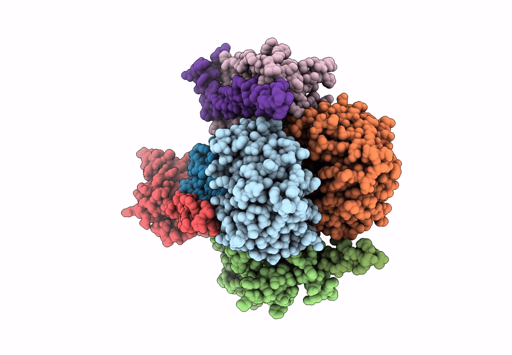 8CE8 image