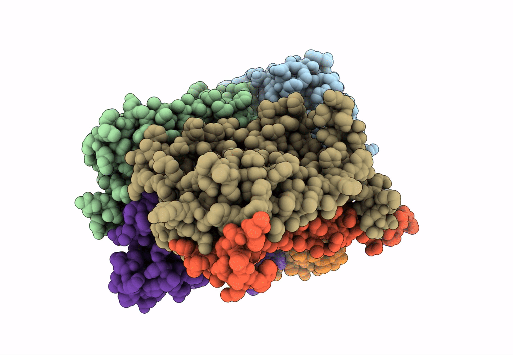 8CEA image