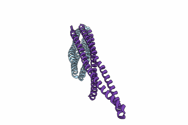 8CEG image