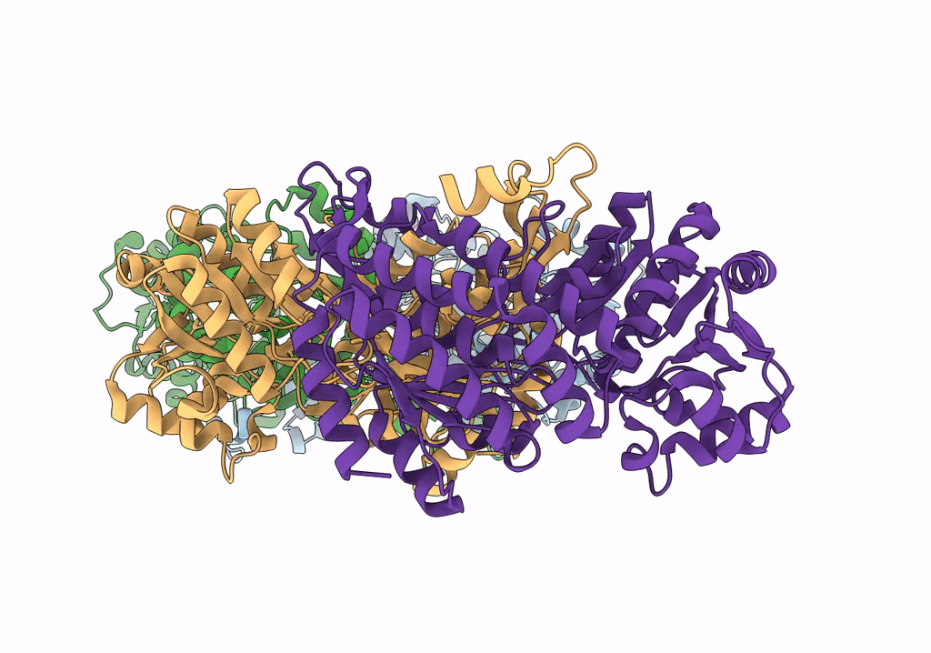 8CEI image