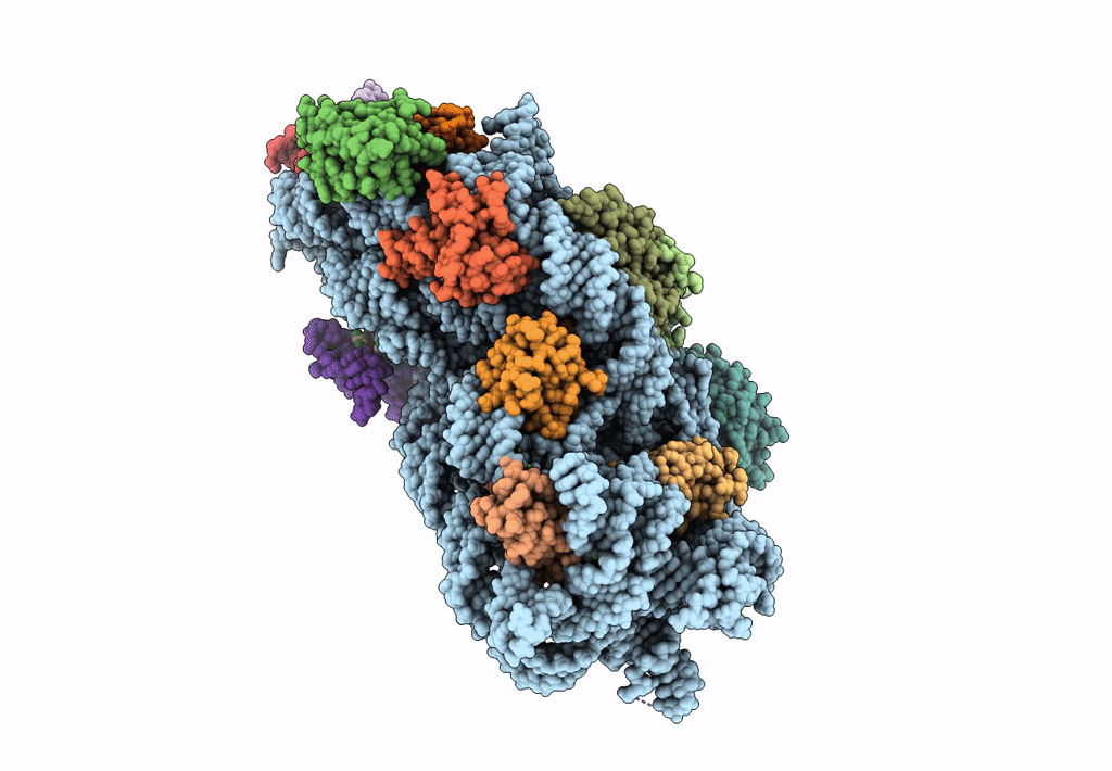 8CEP image