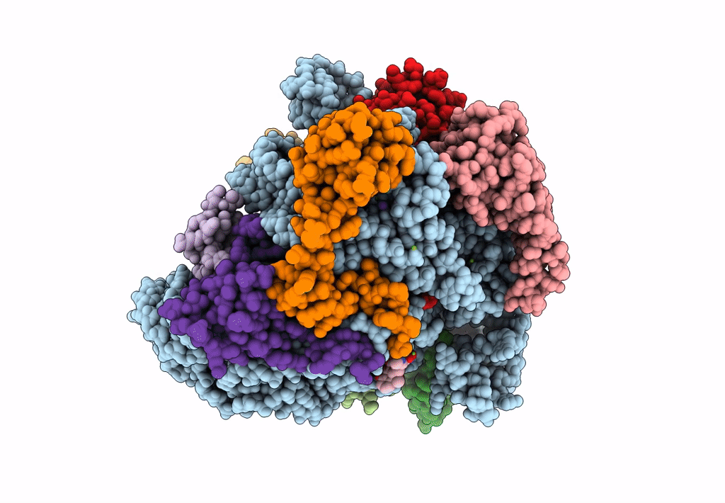 8CF1 image