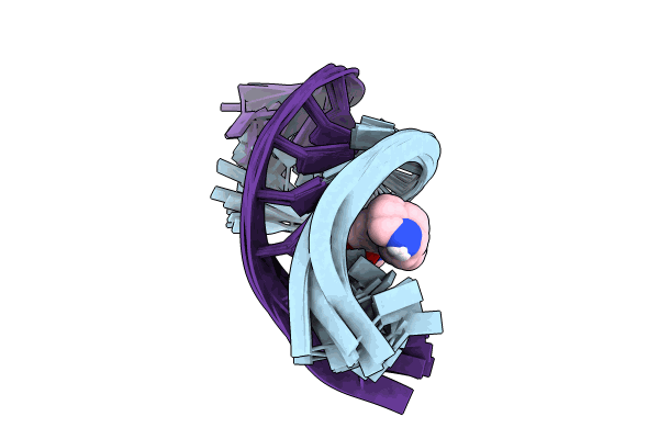8CF2 image