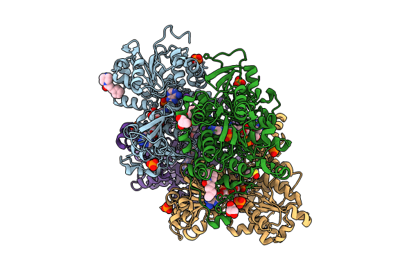 8CFU image