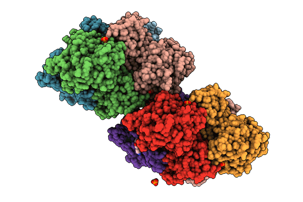 8CFX image