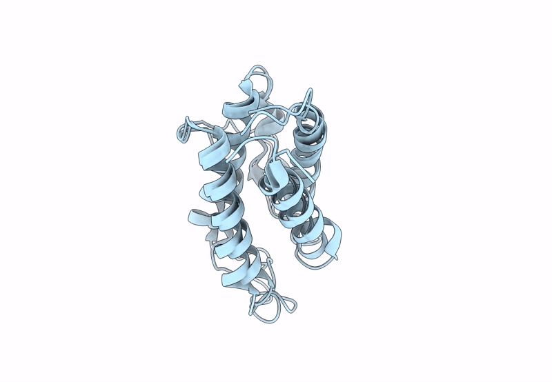 8CGF image